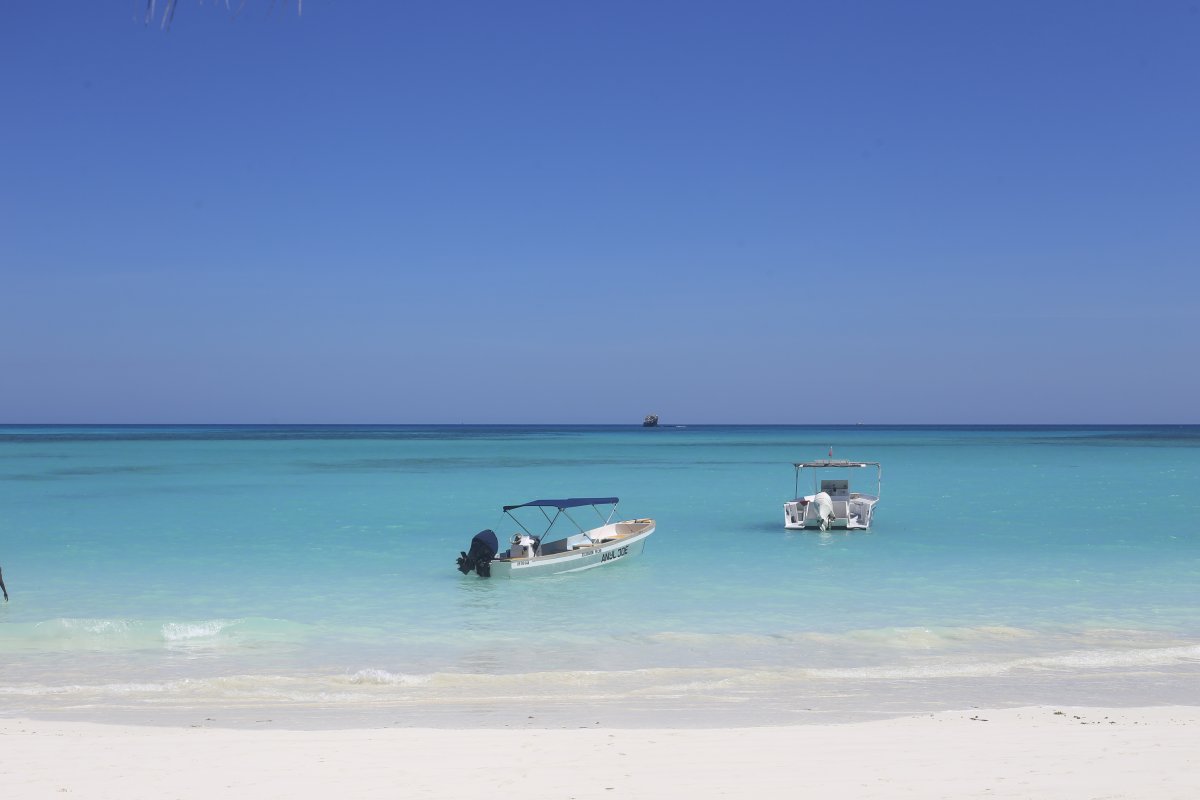 THE ISLAND OF SCENTS