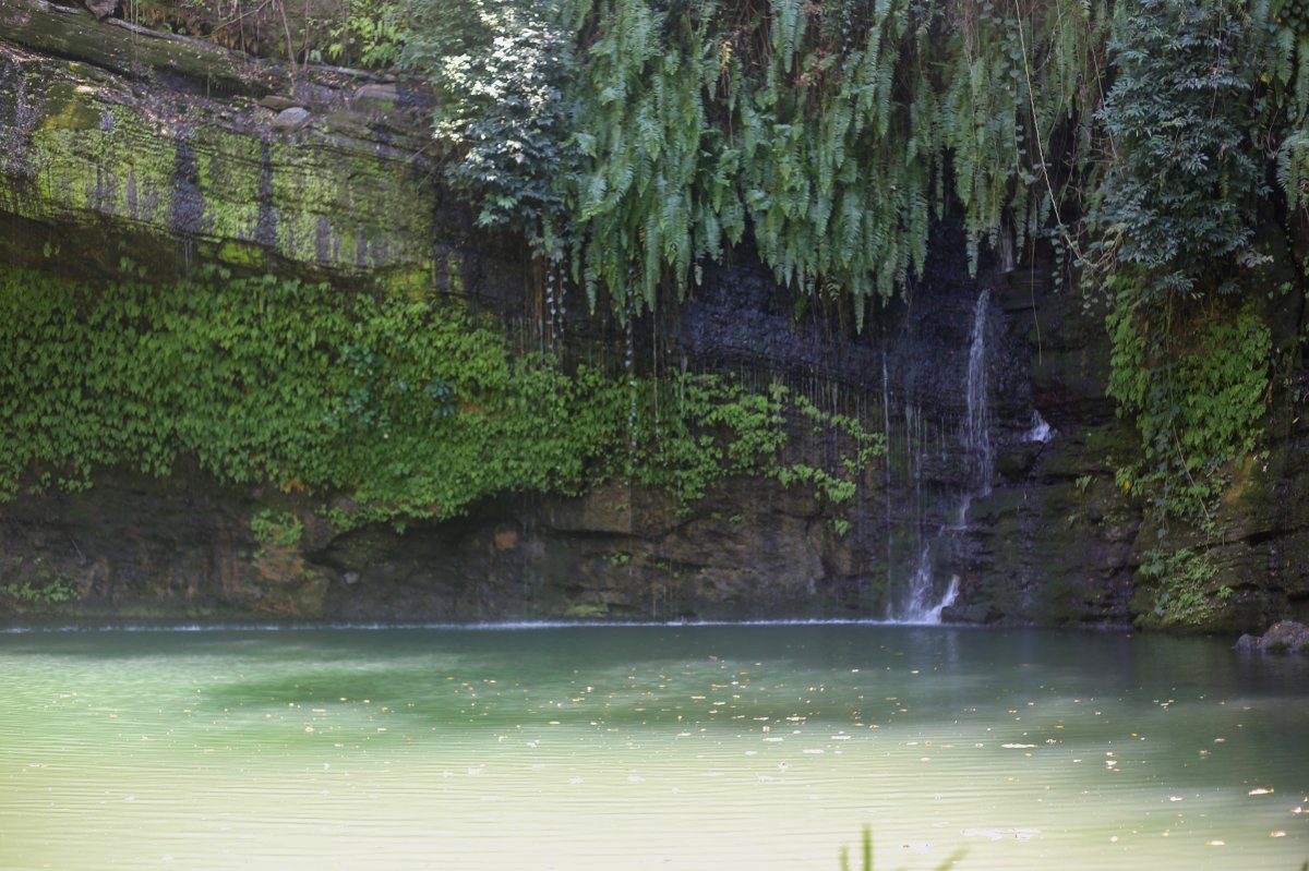 THE ISLAND OF SCENTS