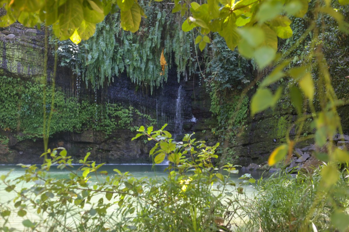 THE ISLAND OF SCENTS