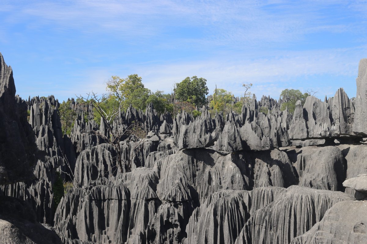 TSIRIBIHINA ADVENTURE