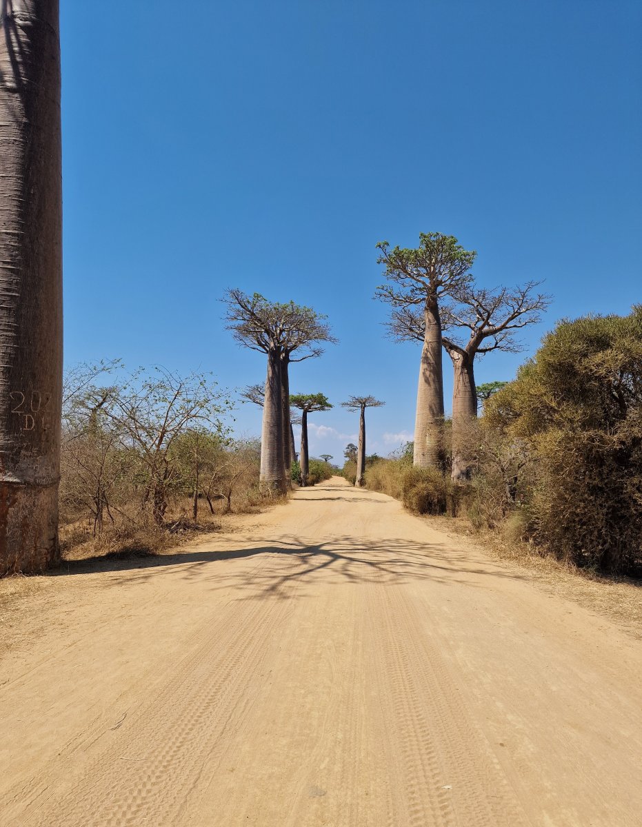 TSIRIBIHINA ADVENTURE